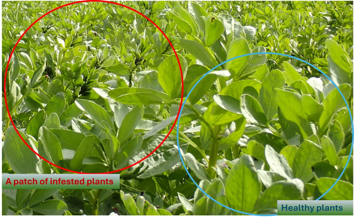 Zorica Duric tweet media