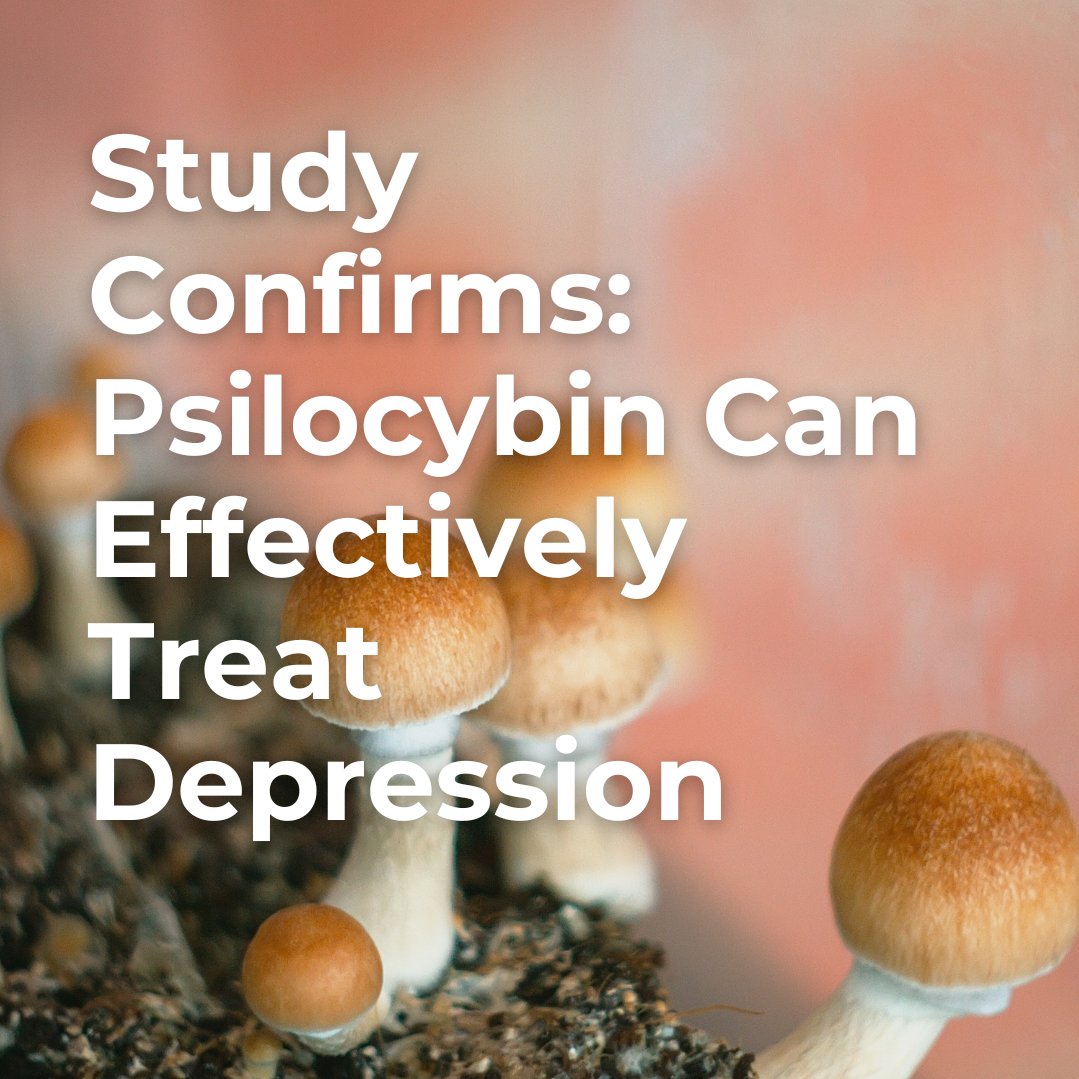 HealingMaps tweet media