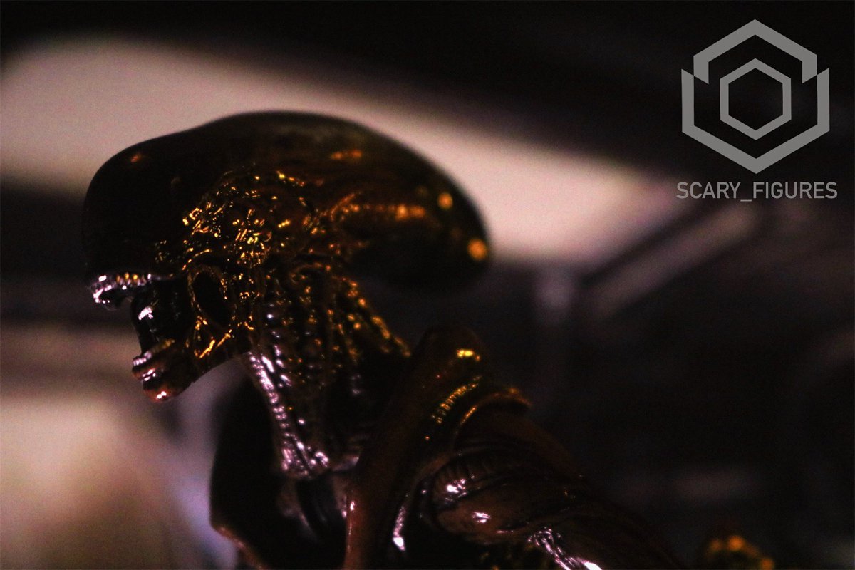 FiguresScary's tweet photo. Can’t wait for the real Romulus figure is released 👍 

#actionfigure #actionfigures #figurephotography #horror #HorrorMovies #HorrorMovie #neca #xenomorph  #aliensfireteamelite #aliensmovie #runnerxenomorph #alien3 #runneralien #AlienRomulus https://t.co/i2Kc0UApHN