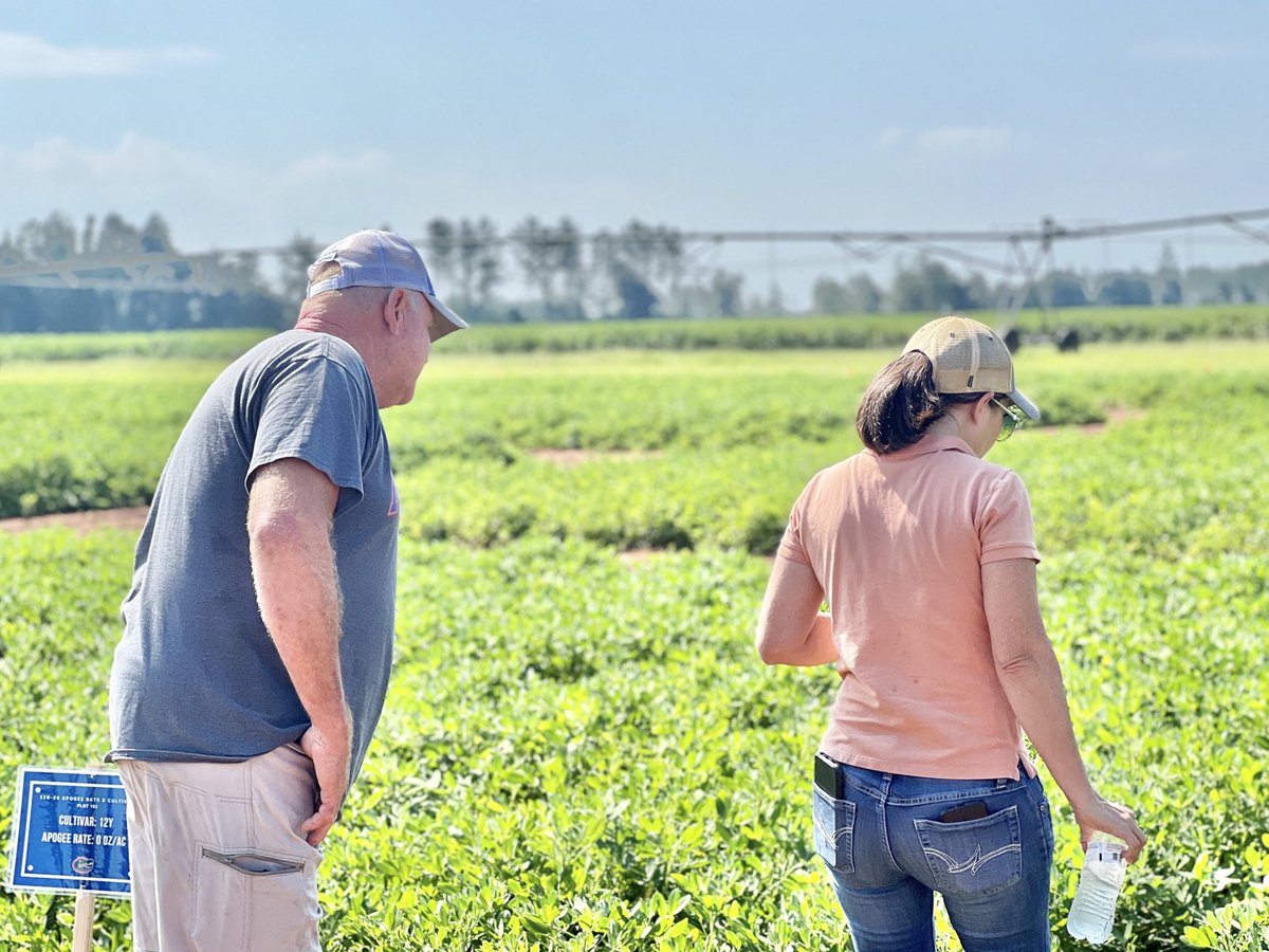 Hardeep Singh tweet media