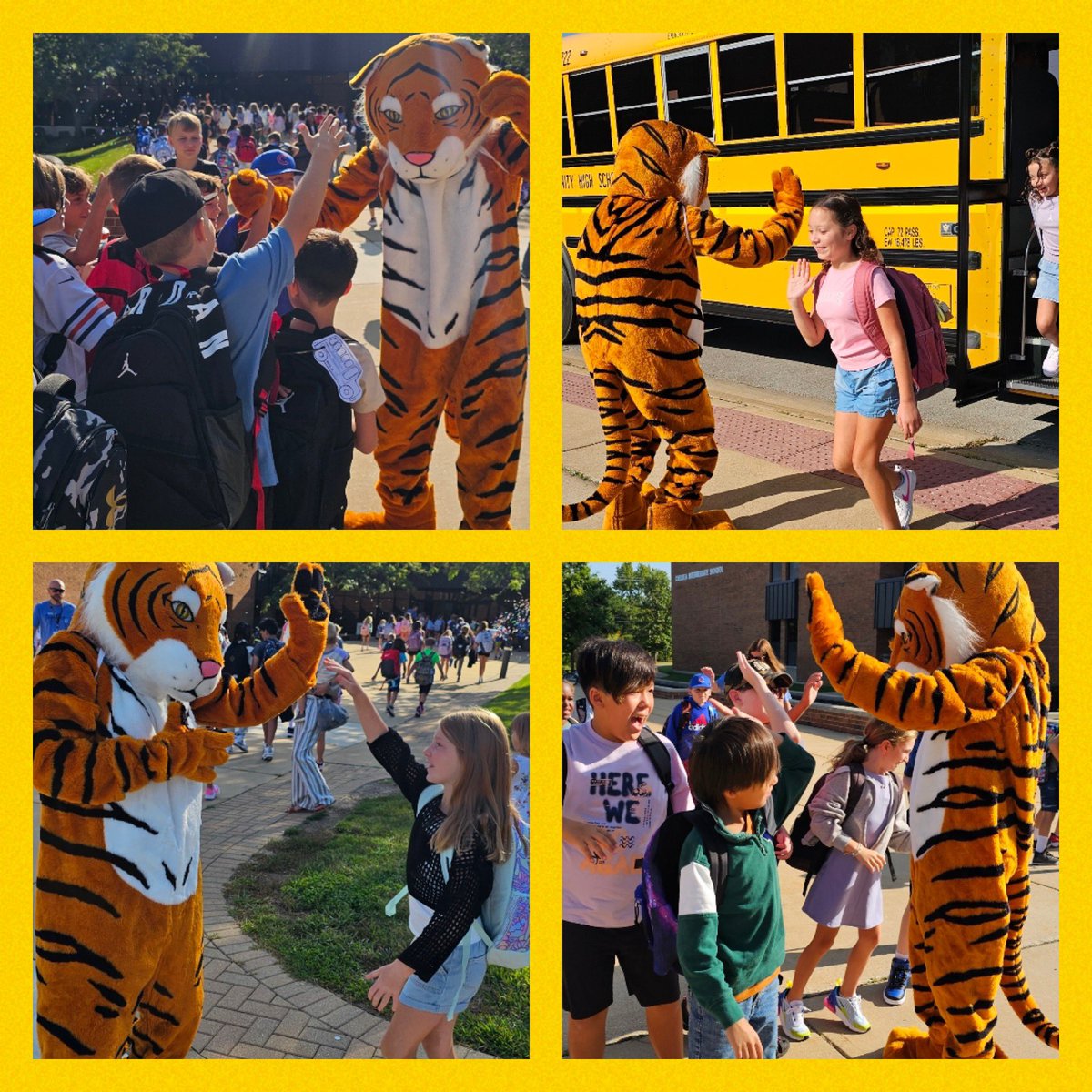 Chelsea Intermediate School tweet media