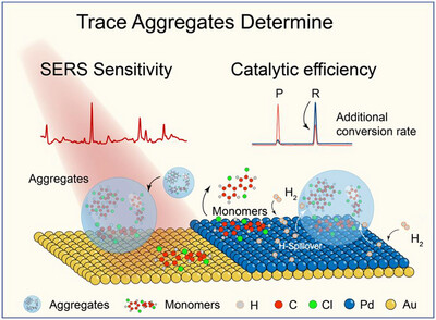 AggregateOA's tweet photo. Early View💡
"Unveiling the exceptional evolution of solute #aggregates: From micro to trace, solution to interface" by Guokun Liu et al. @xmuchina @Wiley_Chemistry #SERS #monomer
Check👉https://t.co/BkxBsb6Gxv https://t.co/GLRCq7MHQL
