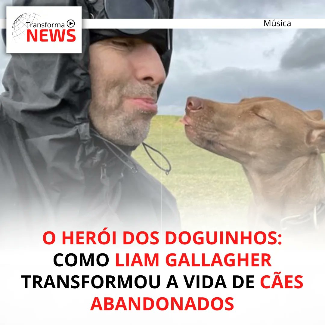transforma_news's tweet photo. Liam Gallagher recentemente ajudou a arrecadar £25.000 para a organização de caridade Happy Doggo, na Tailândia. O dinheiro será utilizado para a construção de um hospital para cães, um projeto que se tornou ainda mais especial graças à conexão de Gallagher com a instituição. https://t.co/zBDlQ4HBDt