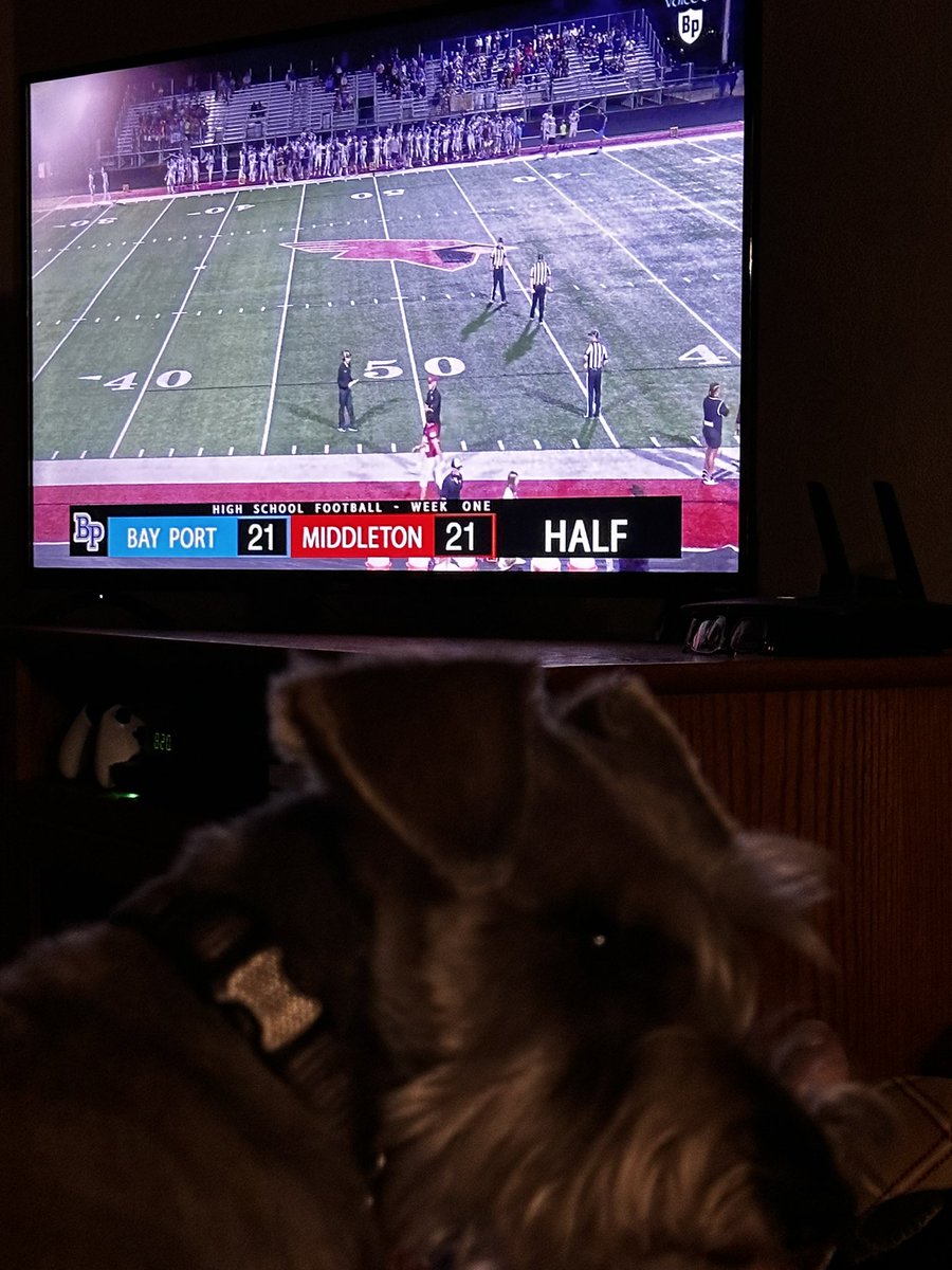 devilmutt's tweet photo. @VoiceofBP Let’s go Bay Port! #football #hsfootball https://t.co/hUvqsfYRP8