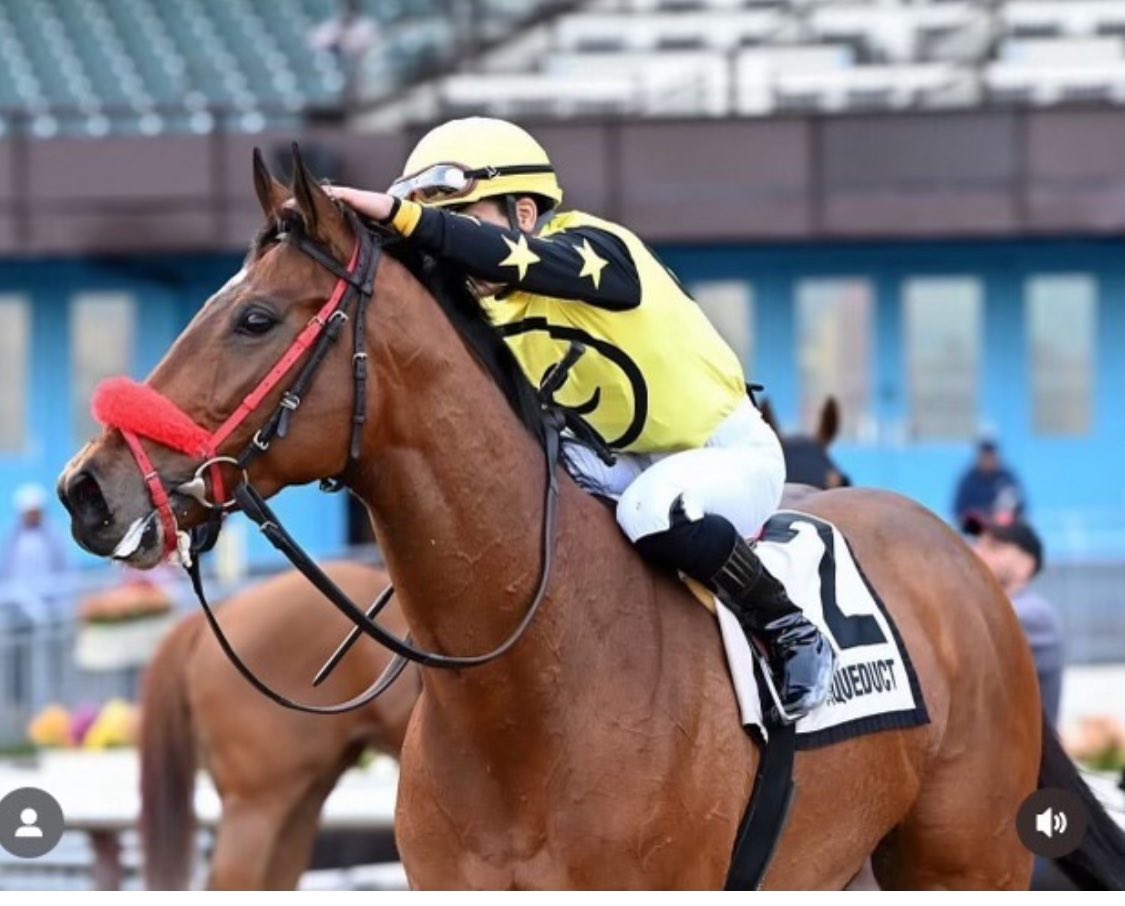 mjlstox1's tweet image. @ladererstables entry #LadyMilagro Race 5 #Saratoga #SmartNFancy Stake Race ! 🐎🐎🐎🐎 Good Luck to us all !! @RockyTimeFarm @alfonsito09 @FirstDudeDDF @TrainerCMartin @jockeylriverajr