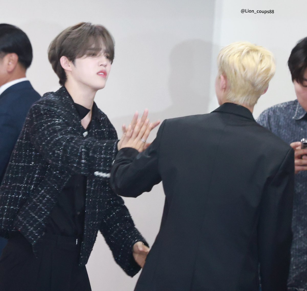 Lion-coups88 tweet media