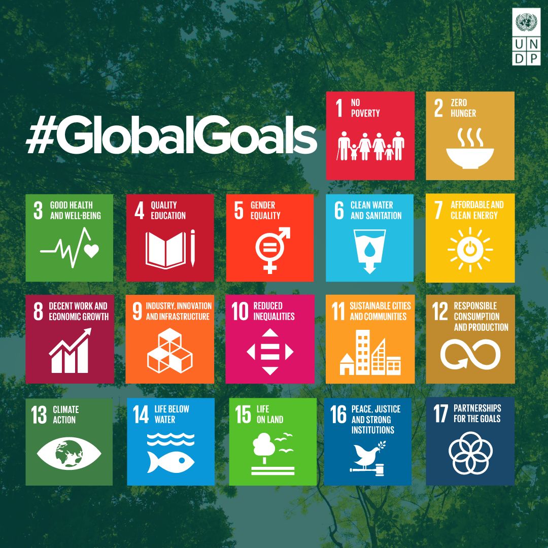 UNDP's tweet image. The #GlobalGoals are our roadmap for a better future.

On #HashtagDay, show support and learn more about the #SDGs! 

go.undp.org/SDGs