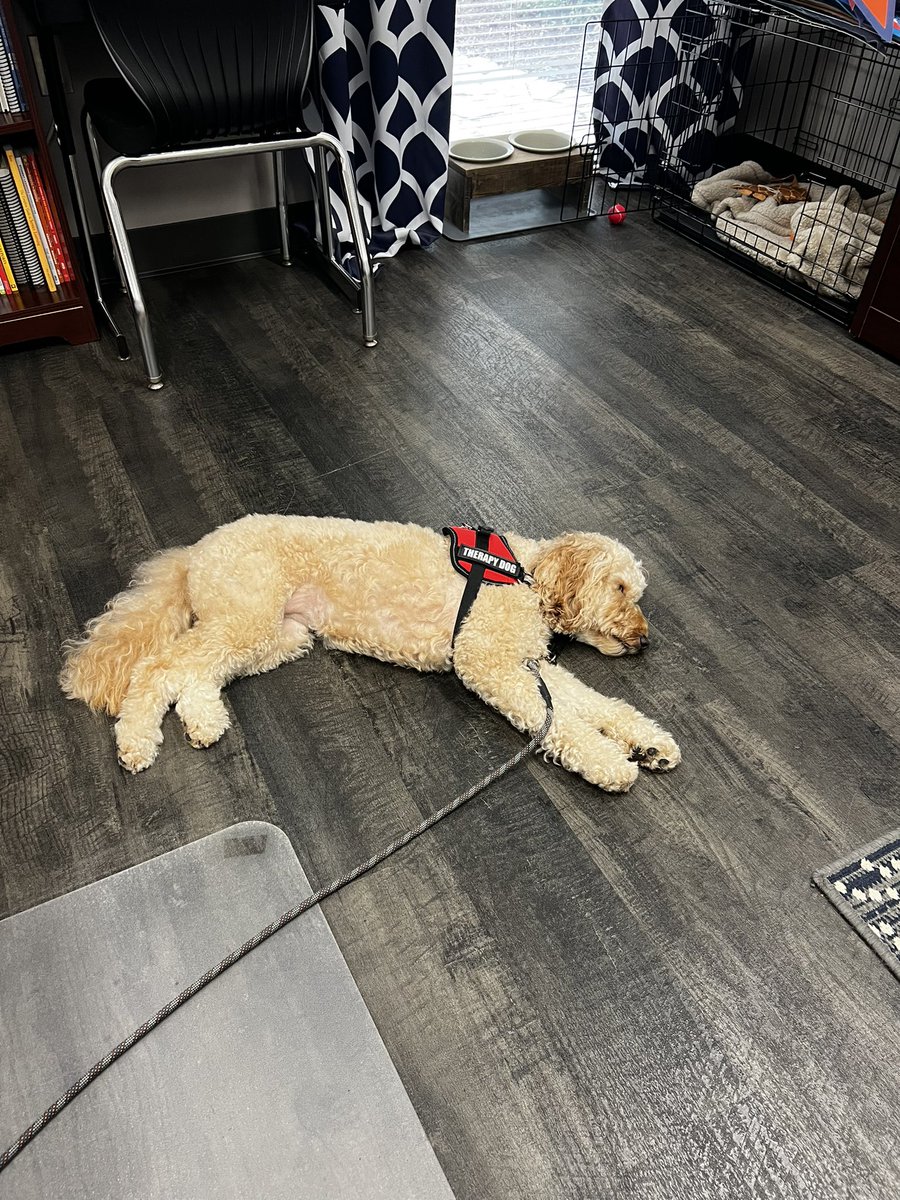 Cindy Barker (@cindybarker79) on Twitter photo Paisley Mae had a great first day on campus! Visiting so many <a href="/HumbleISD_WHE/">Woodland Hills Elementary</a> friends wore her out!!! Paisley Mae had a great first day on campus! Visiting so many <a href="/HumbleISD_WHE/">Woodland Hills Elementary</a> friends wore her out!!!