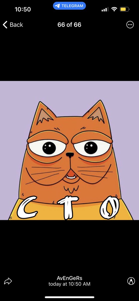 cryptochicasnft's tweet photo. Looks like they’re about to bring $meow on $tron back from the dead. At only a 40k mkcp this entery could be life changing. God speed frens. 📈 https://t.co/d0Bw1Dcrw0