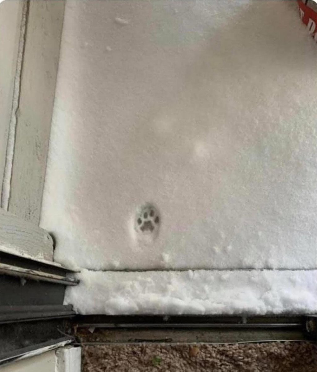 EnsedeCiencia's tweet image. Una historia corta, sobre decisiones...