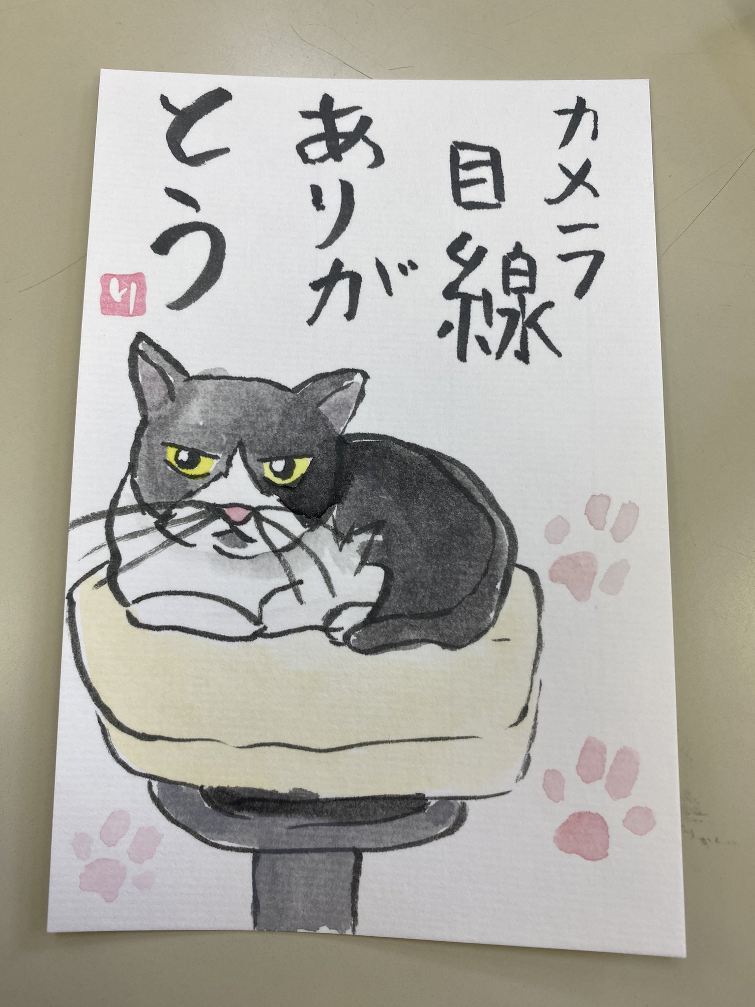 ふんばり親子猫　ハチワレ ふんばり親子猫 ハチワレ