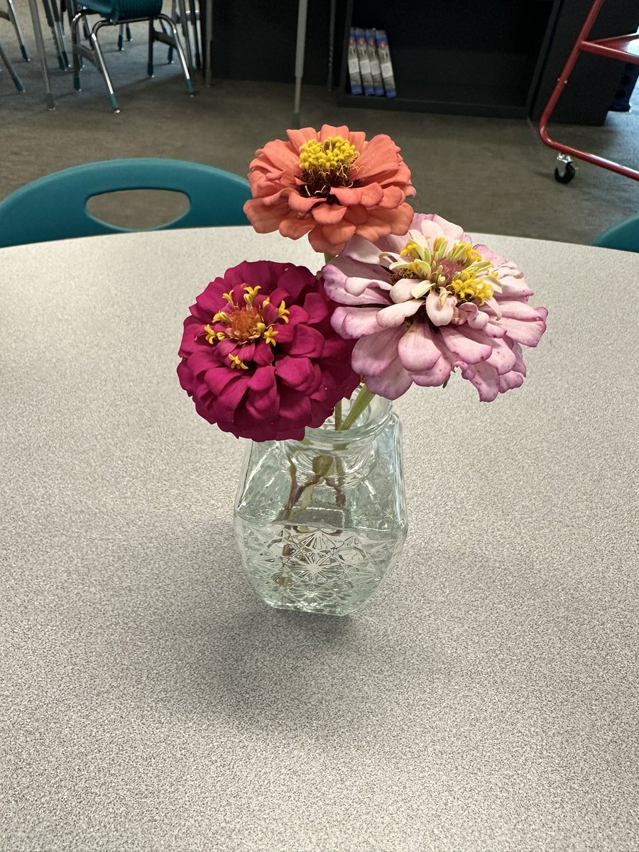 Lauren Oakes (@loakesclass) on Twitter photo Today I used flowers from my garden as an example of perseverance! Gardening was something I never thought I could do and was not successful previously, with the encouragement of <a href="/mrsmacallacfisd/">Alayna Macalla</a> I now have these beauties ๐#explorewells <a href="/CFISDWells/">Wells Elementary</a> Today I used flowers from my garden as an example of perseverance! Gardening was something I never thought I could do and was not successful previously, with the encouragement of <a href="/mrsmacallacfisd/">Alayna Macalla</a> I now have these beauties ๐#explorewells <a href="/CFISDWells/">Wells Elementary</a>