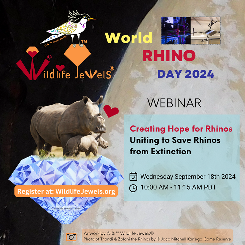 WildlifeJewels's tweet photo. In celebration of #WorldRhinoDay, please join us for an enlightening webinar titled Creating Hope for Rhinos: Uniting to Save Rhinos from Extinction. 

Reserve your spot: https://t.co/U3W70BJjij
@RhinosGCF  @KariegaGameRes  @DrWillFowlds @HelpingRhinos @wt_alliance @WJCommission https://t.co/mSFfJWFZzg