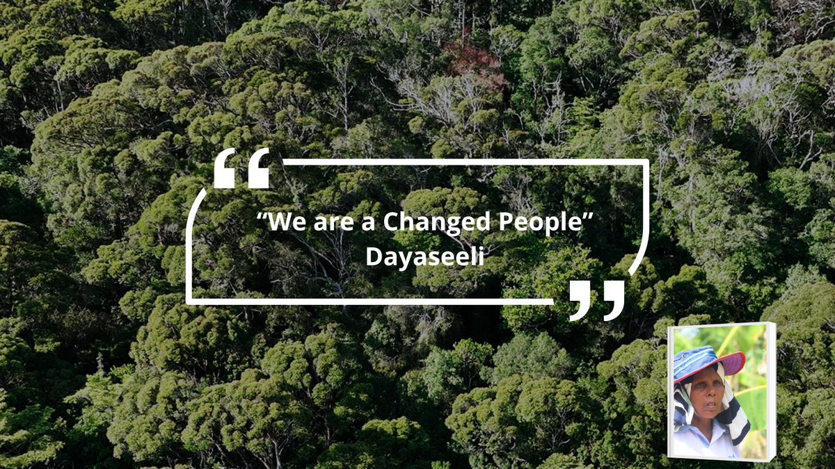 CWS New Zealand tweet media