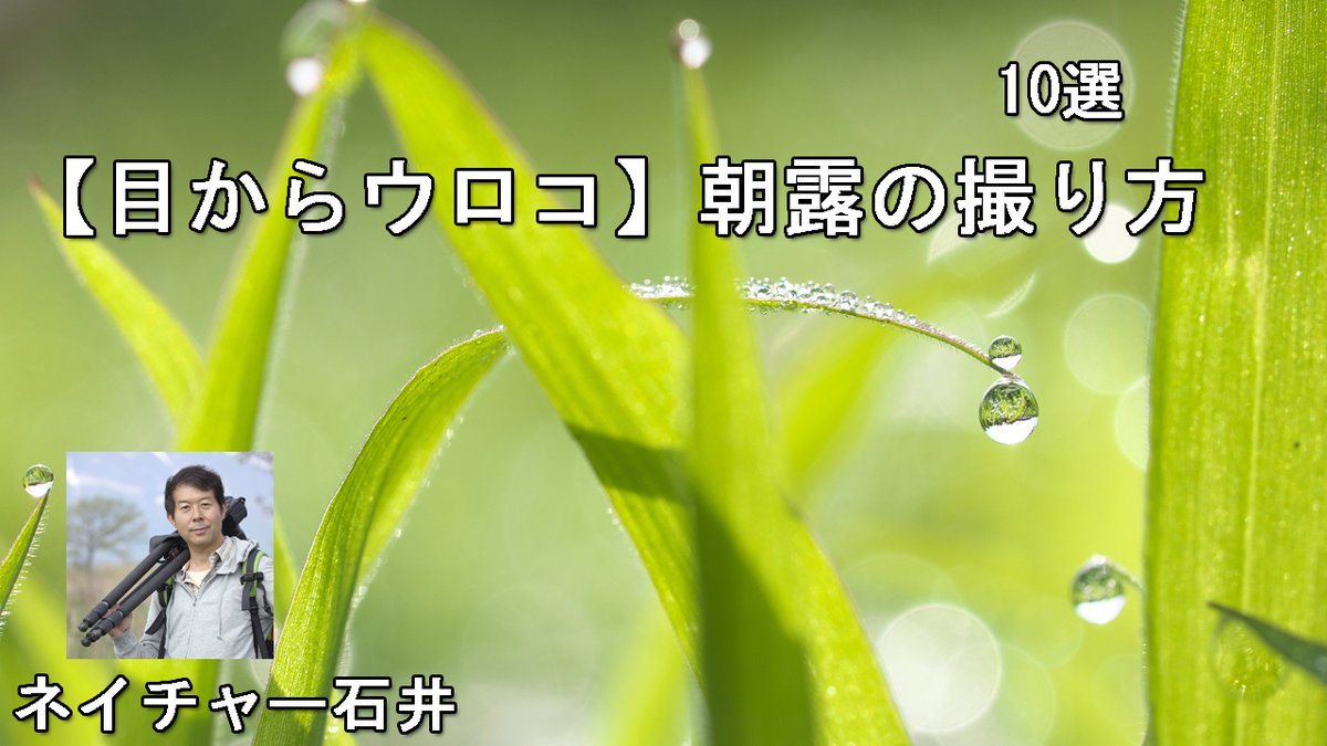 youtube.com/watch?v=oaqQOu…
youtubeに【目からウロコ】朝露の撮り方・10選を公開しました！
これから秋が朝露撮影に適しています。
私の写真を参考に朝露撮影を楽しんで頂けたら嬉しいです♪