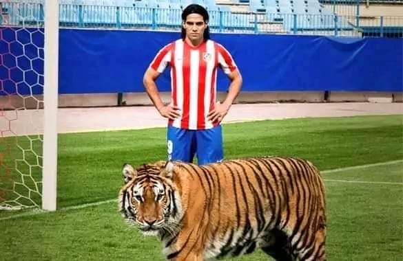 JoelDatos's tweet photo. 22 de agosto de 2011: Radamel Falcao García fue presentado en el Vicente Calderón. Durante la sesión de fotografías el colombiano estuvo acompañado por un tigre. 10 mil personas asistieron al acto.
#JoelDatos #22deagostosJD #EfeméridesJD #DatosJD https://t.co/3GnE4qcPpc