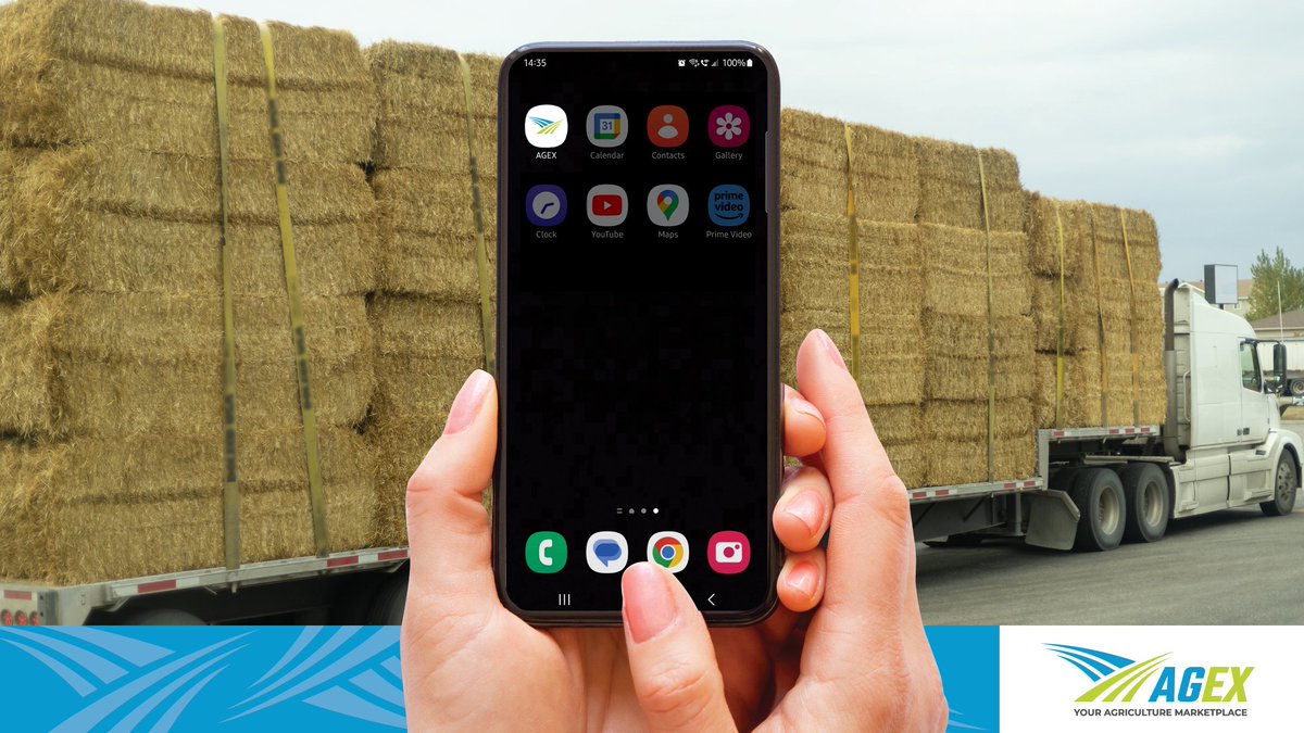 agexgroup's tweet photo. The AGEX app makes staying on top of your stable's hay supply more manageable! The AGEX app provides a great tool to help you locate local verified hay suppliers who have feed for sale. Download and sign up for the app today! https://t.co/losj0geRSk https://t.co/TAvKk07P4b