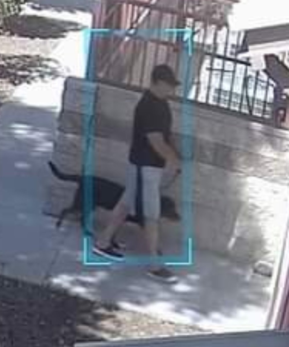 bekindrewind000's tweet photo. Upland police need your help. 
Earlier today, an unknown male abandoned his female dog at the animal shelter without alerting anyone. She had a large tumor, was w/o shade, food, or water for hours before being discovered.
Police (909) 946-7624.
@ABC7 @kcalnews @NicoleComs25862 https://t.co/DxoQe9bG4h