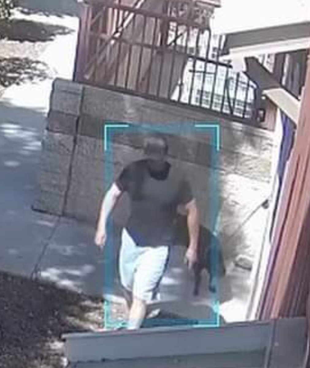 bekindrewind000's tweet photo. Upland police need your help. 
Earlier today, an unknown male abandoned his female dog at the animal shelter without alerting anyone. She had a large tumor, was w/o shade, food, or water for hours before being discovered.
Police (909) 946-7624.
@ABC7 @kcalnews @NicoleComs25862 https://t.co/DxoQe9bG4h