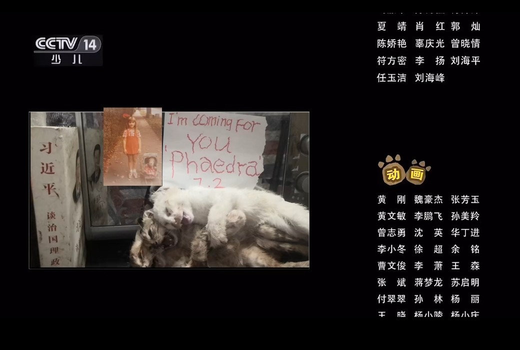 PhaedraXTeddy's tweet photo. #China threatened my life with a 13 minute cat torture video and continues to threaten me and manufacture #ChineseOnlineCatTorture, including putting kittens in a blender in front of their mom and force feeding them to her. There is no law against #AnimalCruelty in #China and #China lets their citizens threaten an Americans life, mine.
This is the first thing JoeBiden did I can relate to.