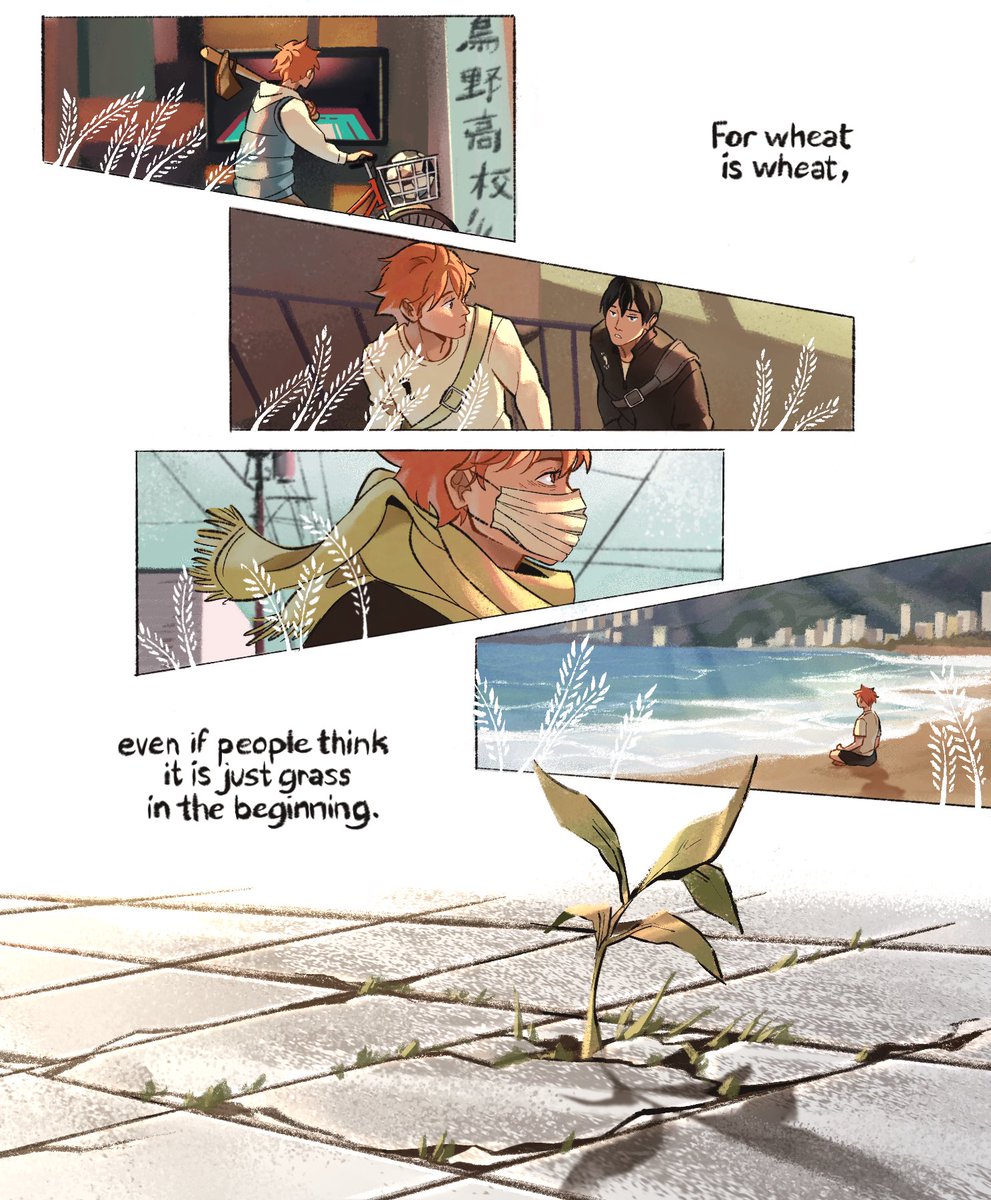 for wheat is wheat #ハイキュー #haikyuu