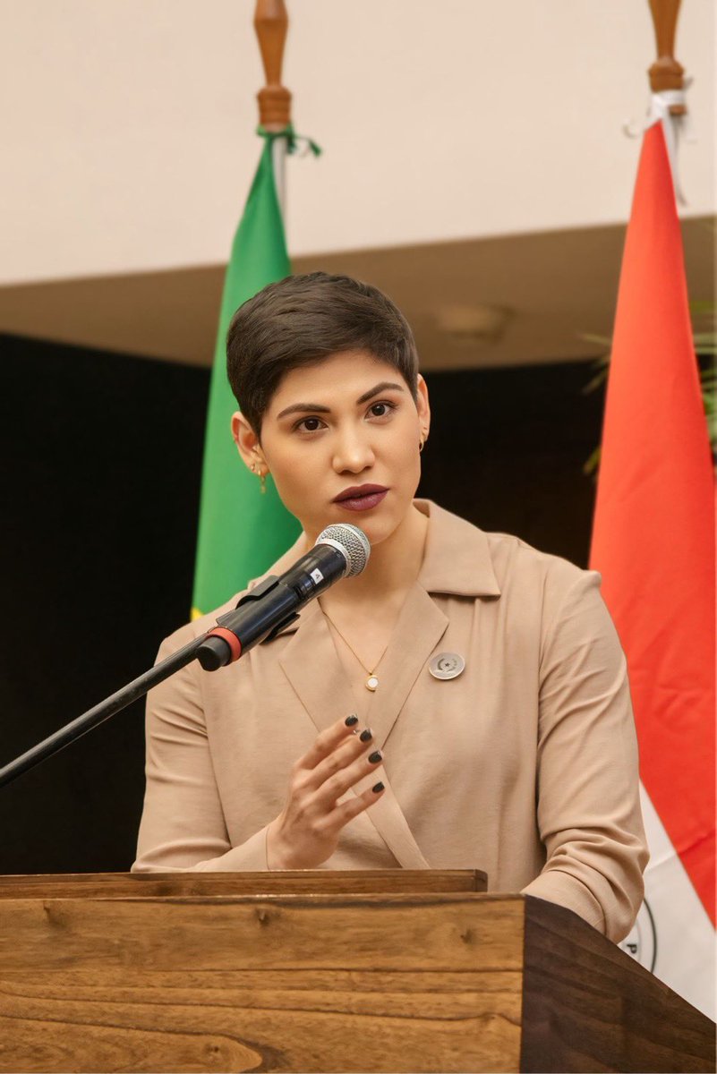 giseminlat's tweet photo. El pasado miércoles 21 de agosto se llevó a cabo el evento de lanzamiento de la nueva edición del Sello Integridad, en el marco de la implementación del Proyecto de Cooperación Trilateral Paraguay, Brasil y Alemania. https://t.co/G71Rh3f8iR