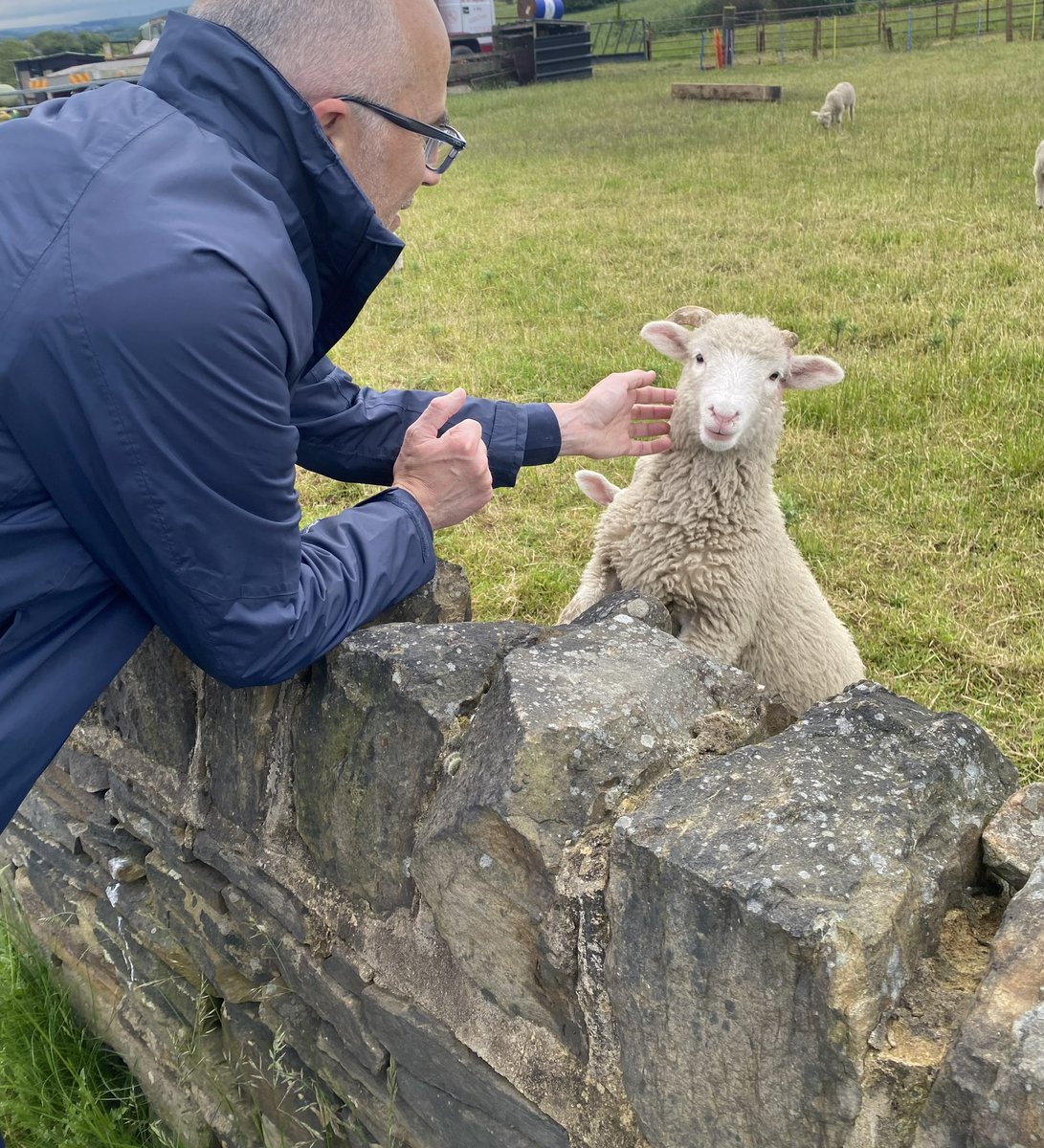 Adam678's tweet photo. Ironically unable to sleep, Leon’s marvellous #haiku below (for @AndrewsSusanM’s #HaikuSaturday collection) inspired me to write this…
😴🐑🐏🐑💤

Insomnia… sheep:
in mind’s field, count some near here…
sleep’s minefield of dreams. https://t.co/zvdOVz0otN