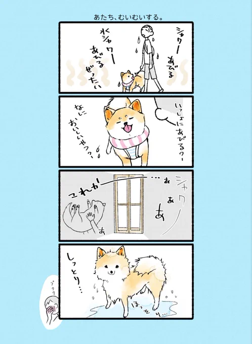 あたち、むいむいする。
このしっとりあたちがスタンプになります〜✨ 