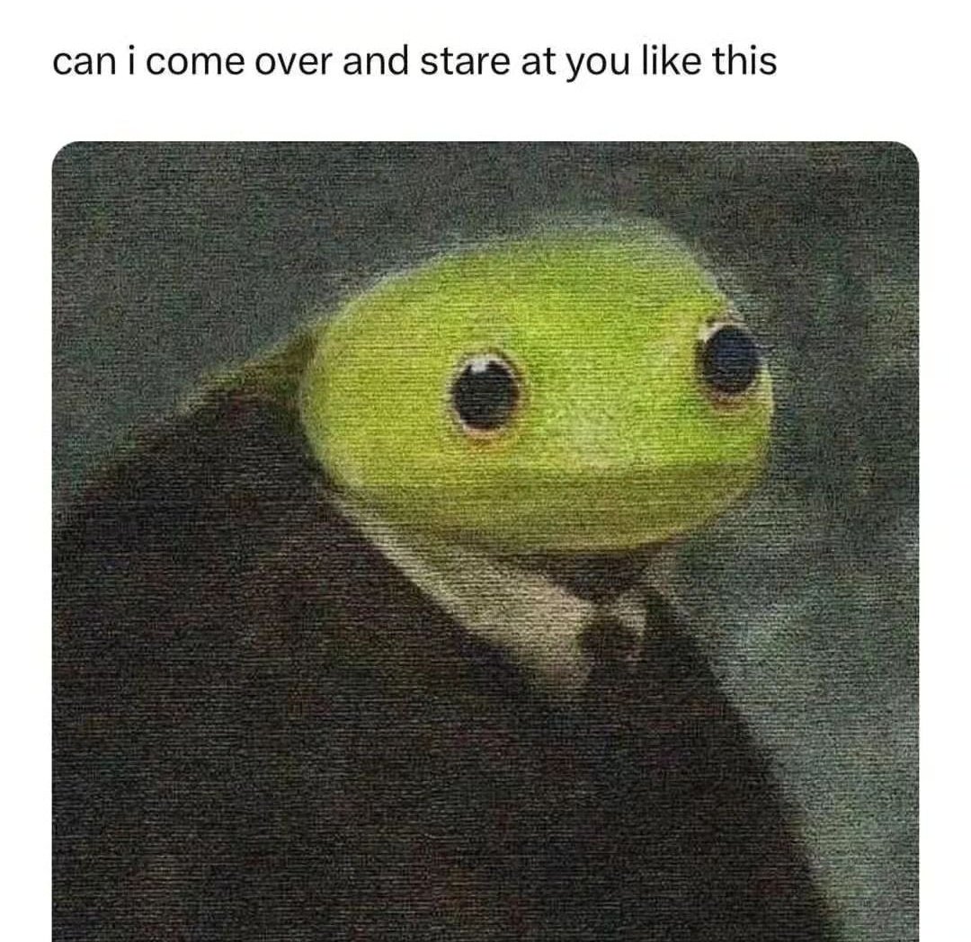 No Context Frogs (@nocontextfrogs) on Twitter photo 