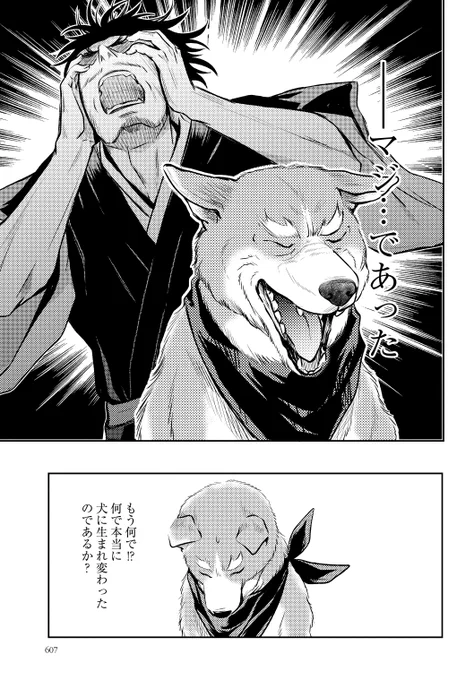 2/6 