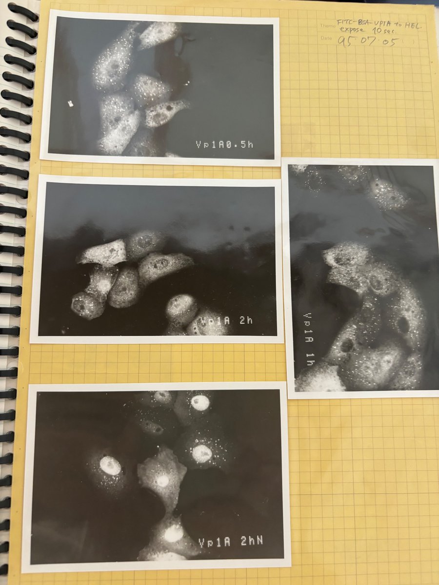 n_nagoshi's tweet photo. Of course we developed photos in the lab. Good old times.. https://t.co/zvUX4NGW0V