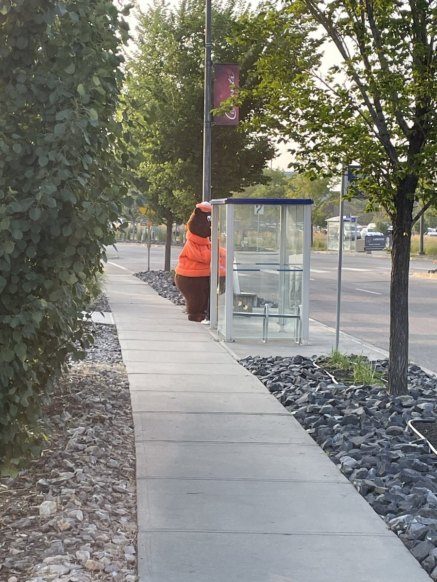 jrwmcfarlane's tweet photo. Went to A&W for Teen burgers to fight MS day and the Root Bear was there. He was just getting off shift when we were finishing and saw him waddle over to the bus stop. I have many questions.🤣#a&w #rootbear #yeg https://t.co/vdMG7WneMu