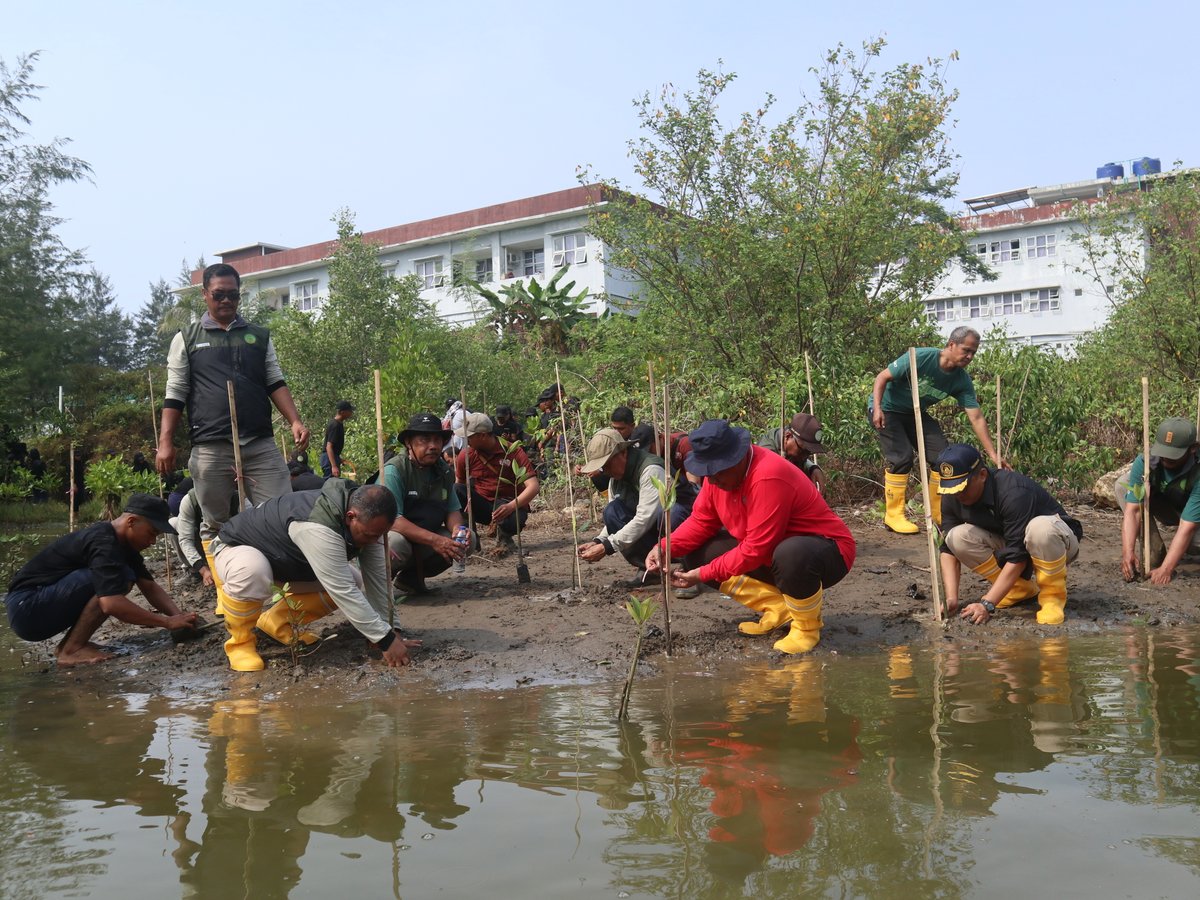 pkp_pangandaran's tweet image. Kegiatan  menanam jumat menanama antara PKPP dan Dinas Kehutanan Cabang Dinas Kehutanan Wilayah VII di Tefa Mangrove Prodi TKL, (23/8)  #PKPP #Pangandaran #PoliteknikKPPangandaran #2024KKPBeyond #SDMKP #SDMUnggul #EkonomiBiru