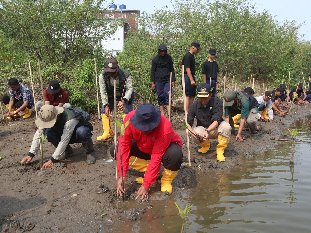 pkp_pangandaran's tweet image. Kegiatan  menanam jumat menanama antara PKPP dan Dinas Kehutanan Cabang Dinas Kehutanan Wilayah VII di Tefa Mangrove Prodi TKL, (23/8)  #PKPP #Pangandaran #PoliteknikKPPangandaran #2024KKPBeyond #SDMKP #SDMUnggul #EkonomiBiru