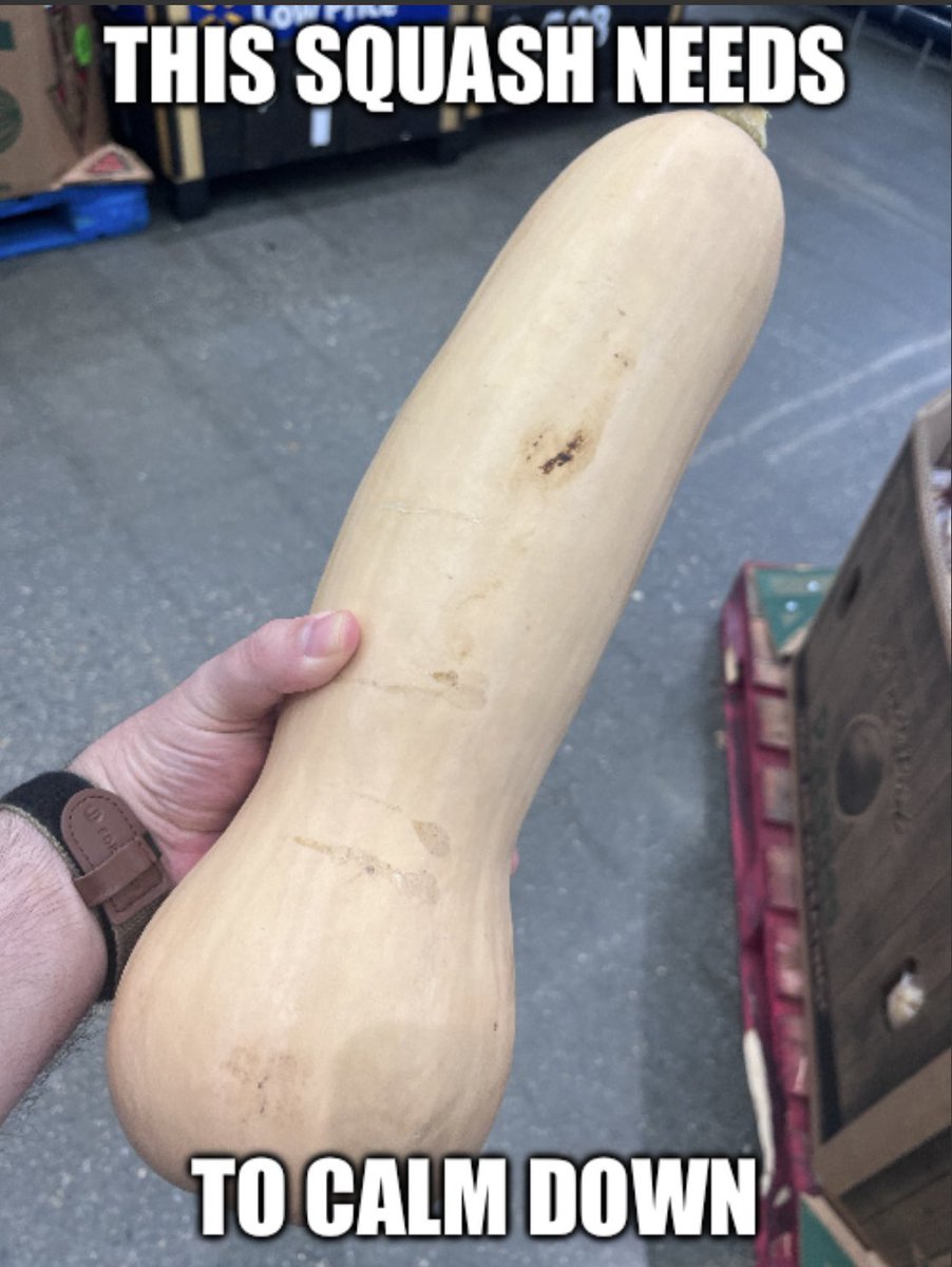 MikeLebron20's tweet photo. I literally found this squash at @Walmart today and made a meme out of it 👌🏻 #Walmart #dicksquash #calmdown https://t.co/bAlSfnc9R8