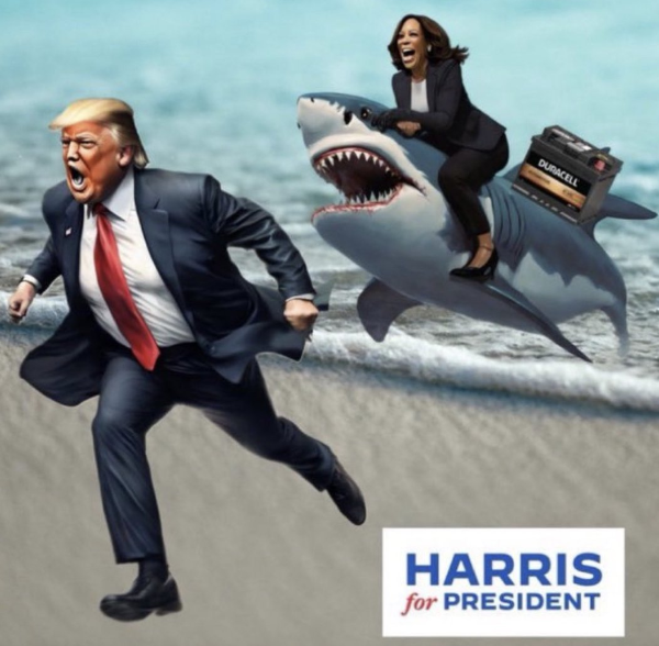 jabronidonnie's tweet photo. #HarrisWalzLandslide2024 #DNC2024 #MAGAIsCollapsing #blackjob https://t.co/XYJOHsYAKN