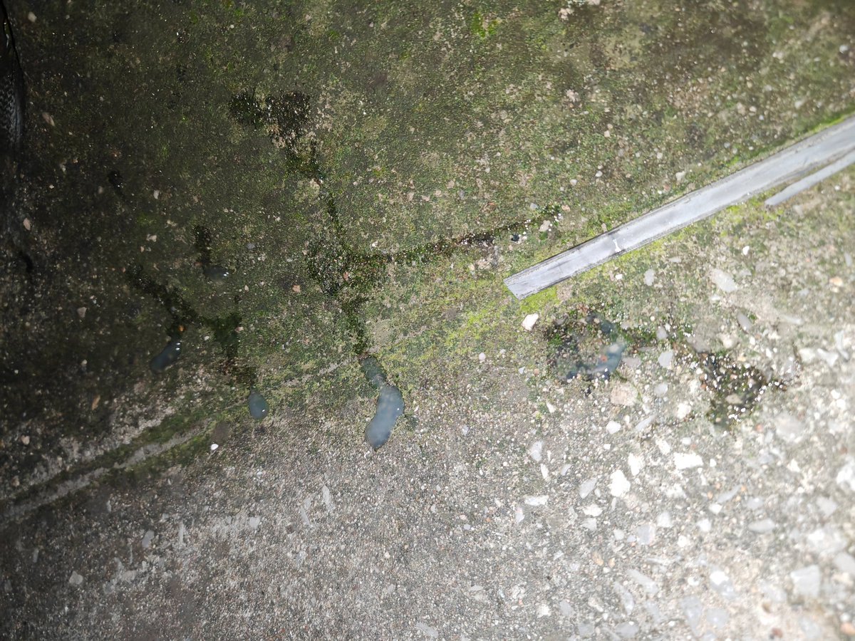 深夜不安分的我们