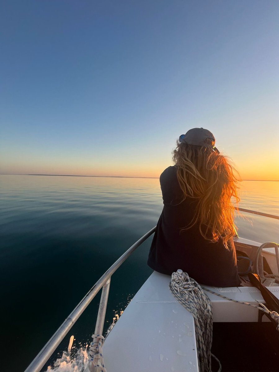 Stephanie L King @stephanielking.bsky.social tweet media