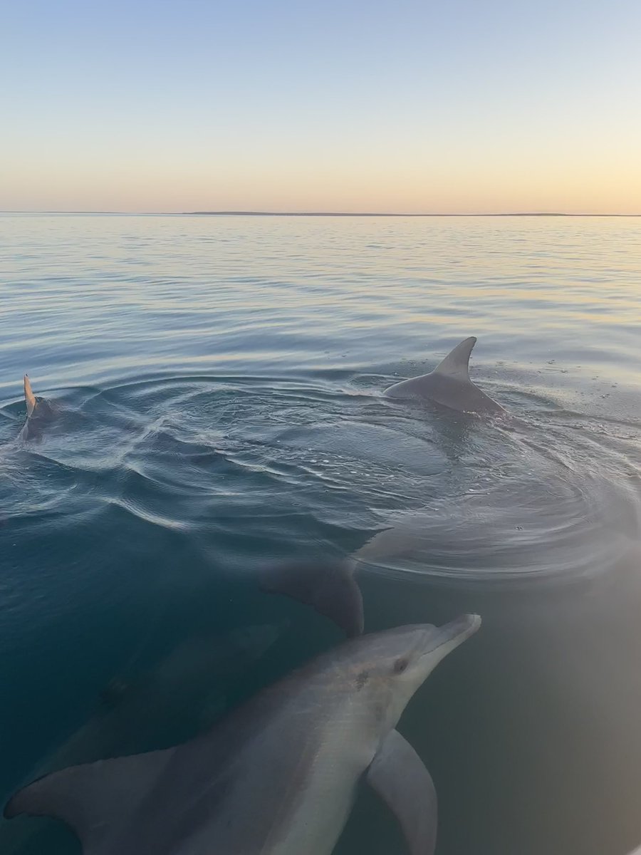 Stephanie L King @stephanielking.bsky.social tweet media