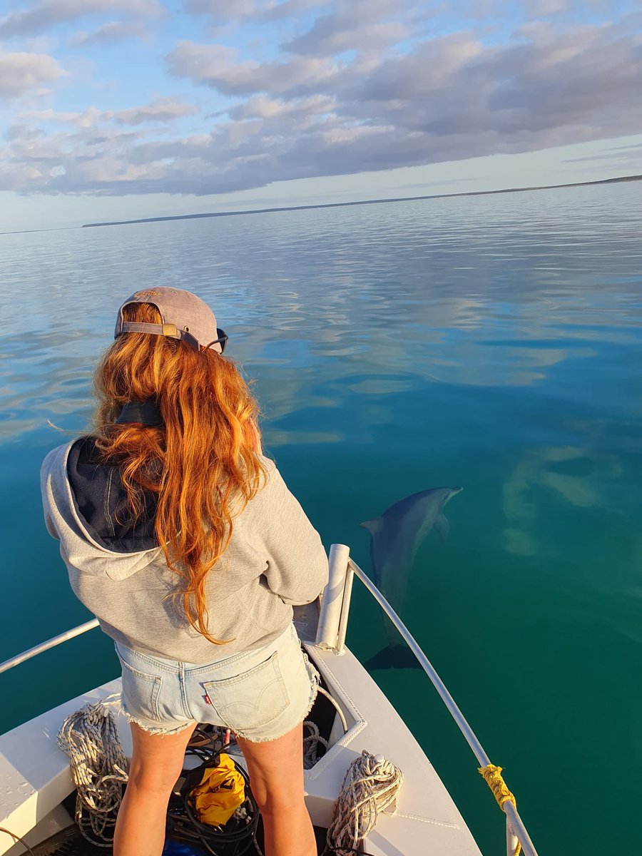 Stephanie L King @stephanielking.bsky.social tweet media