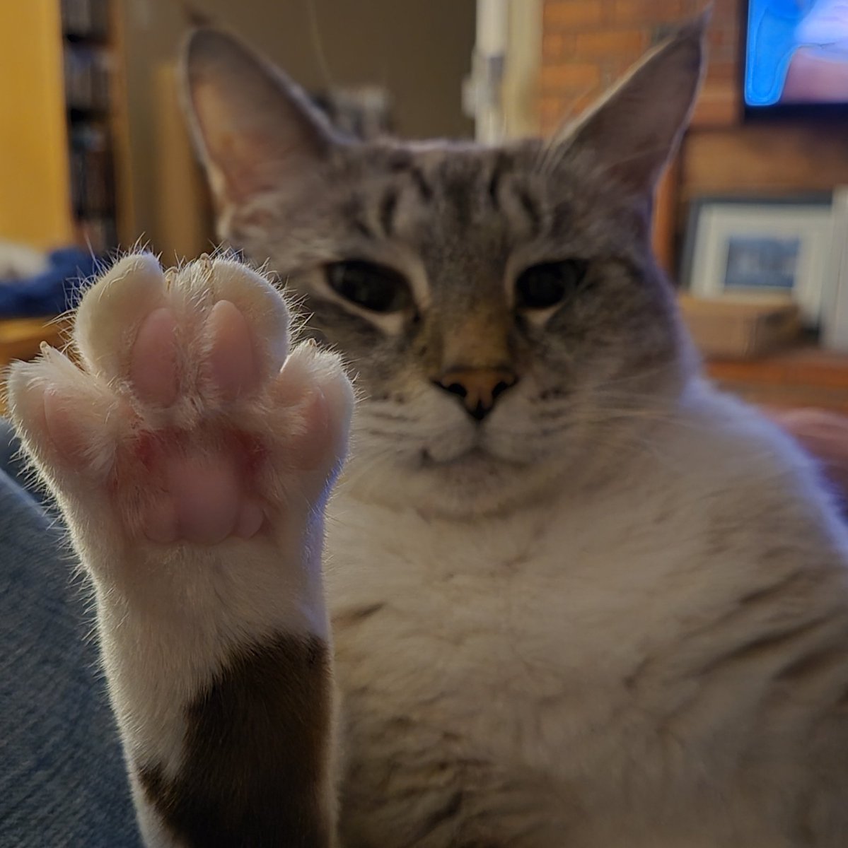 WinkProgress 🐈🐾😺 tweet media