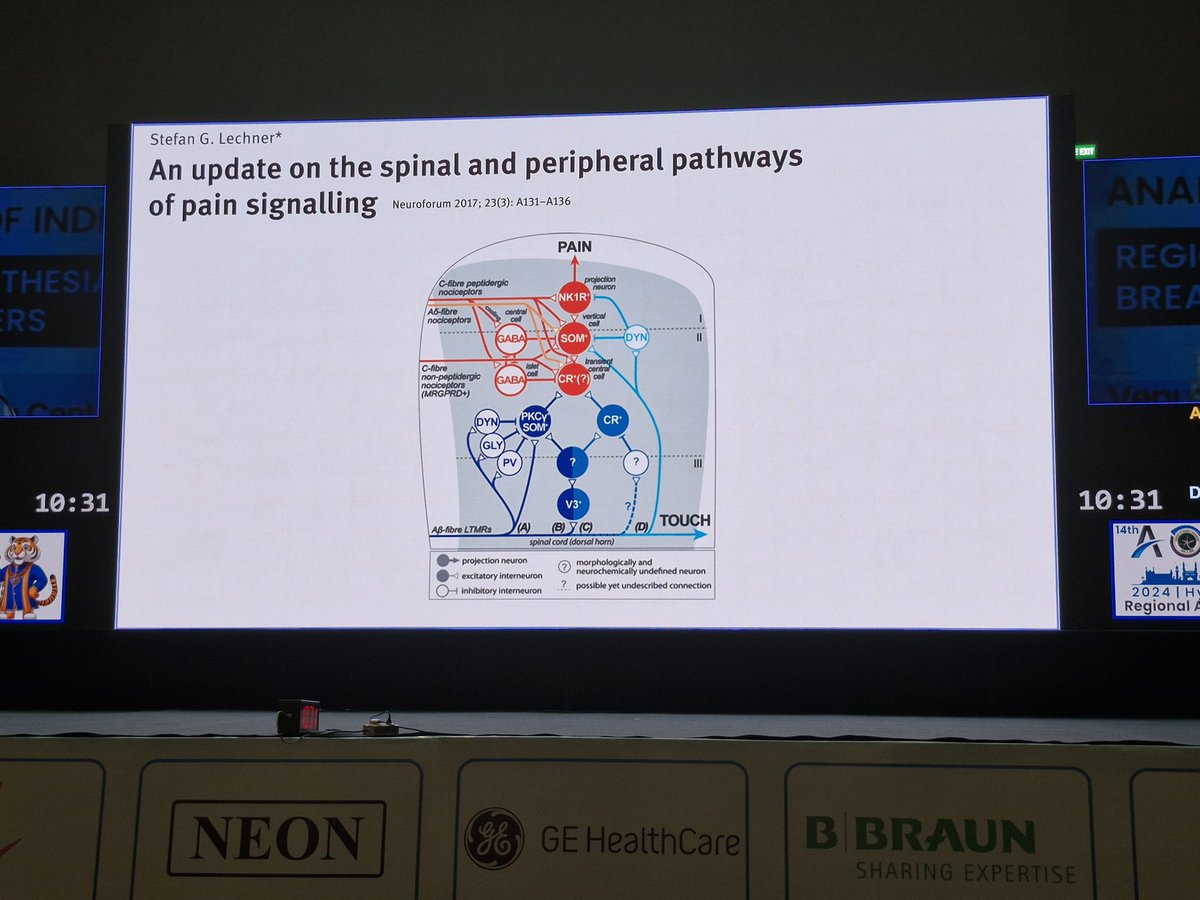 Divesh Arora tweet media