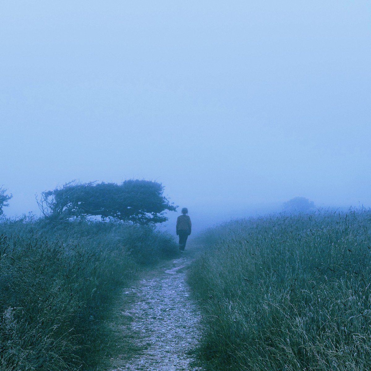 Fangalator_'s tweet photo. safe space w/ shrxpnel out now
Soundcloud: https://t.co/FUUD1psPvS
Spotify:
https://t.co/HIIFqHRYPl
#ambient #ambientmusic #sadambient #deepambient https://t.co/B2N0fNH1sU