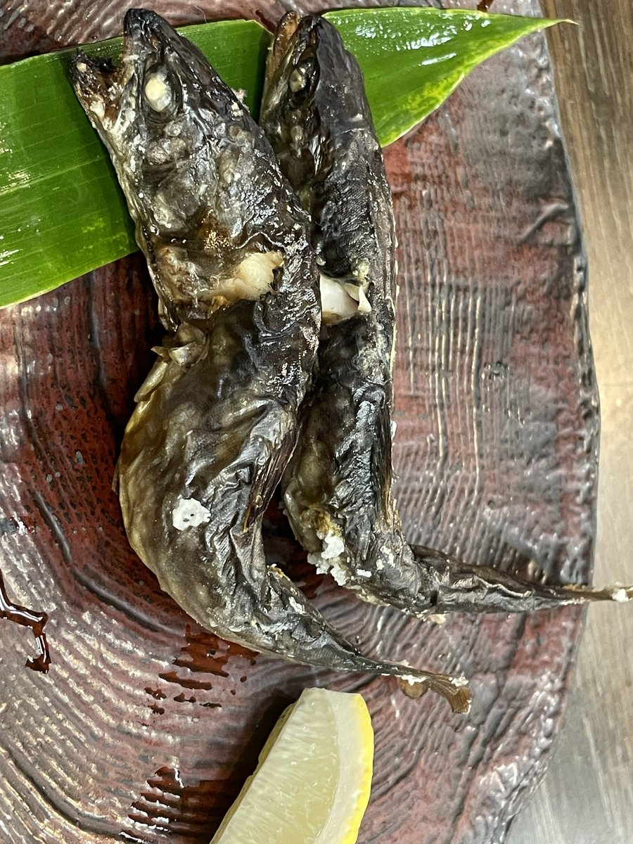 焼き魚で一杯