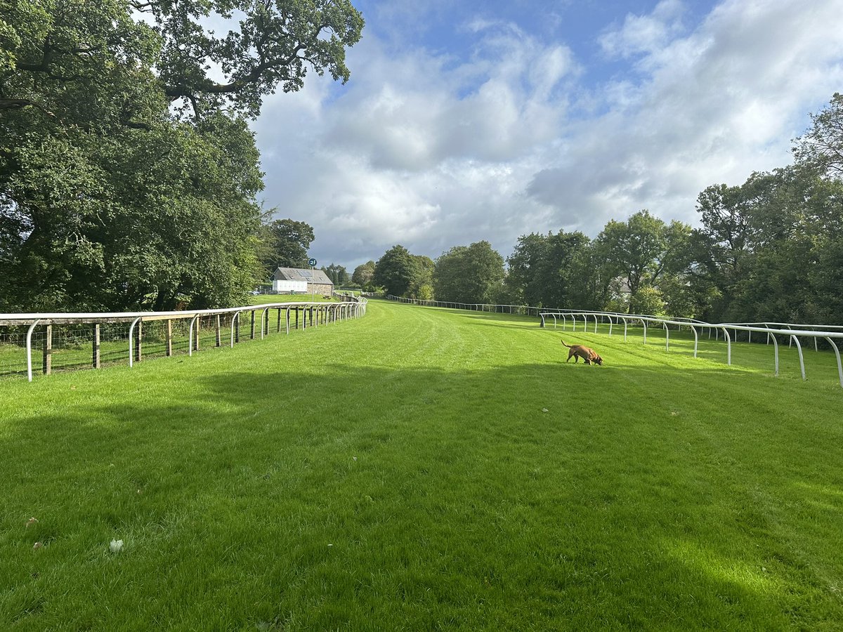 James Armstrong tweet media