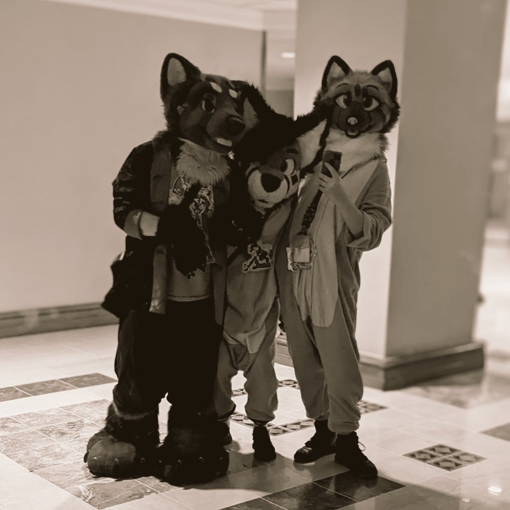 That time we went out on #FursuitFriday and listened to some banging tunes.
Feat: <a href="/Sumiyakikun/">Sumiyaki</a> &amp; <a href="/ItsAdventureFox/">Korinn</a>
