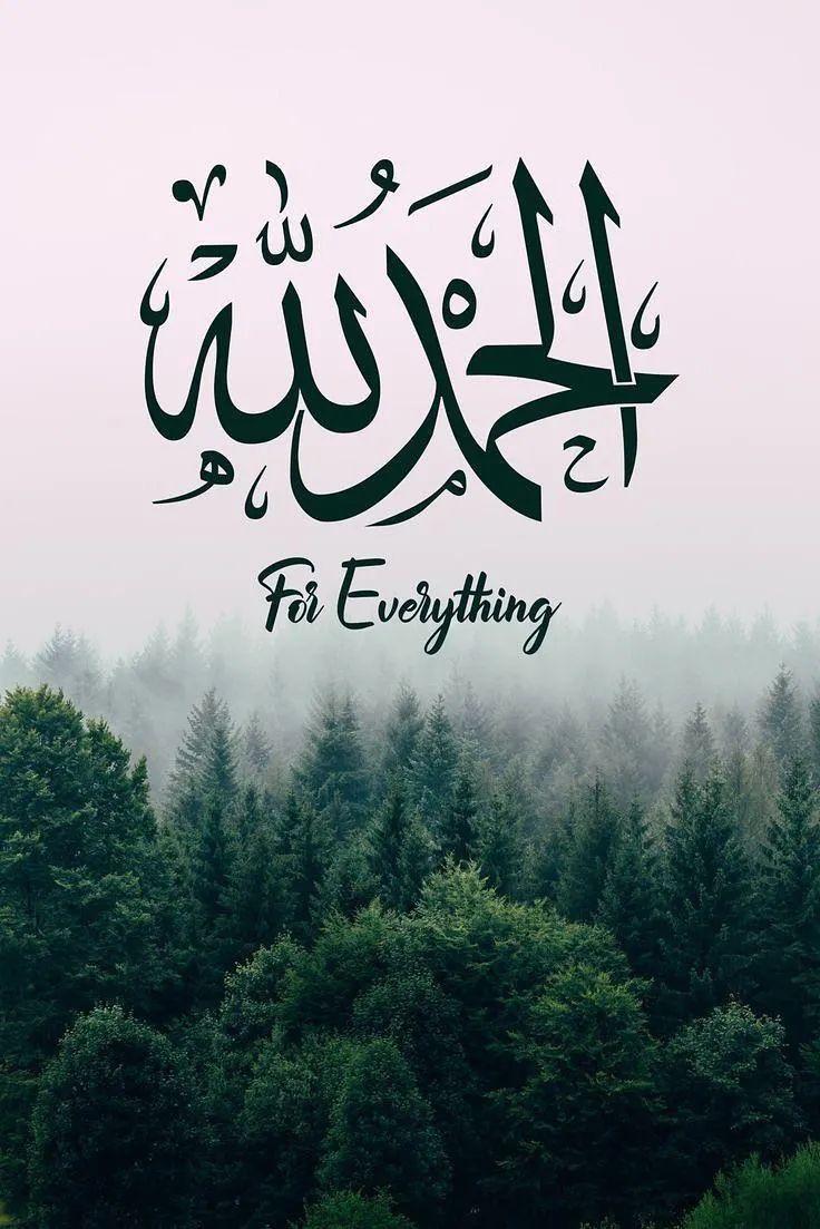HurSaqib's tweet photo. https://t.co/nYaV84YX5z