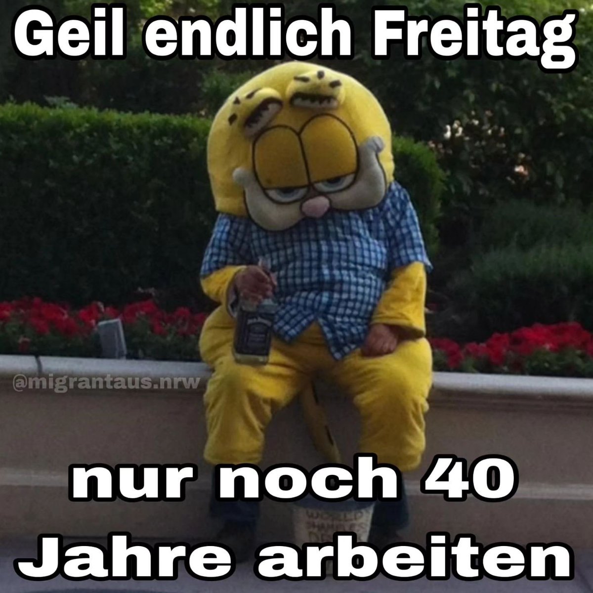 Laufbur$che ⚡ tweet media