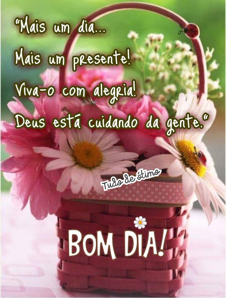 bySandraDuarte's tweet photo. https://t.co/bGy9Q1QPrk