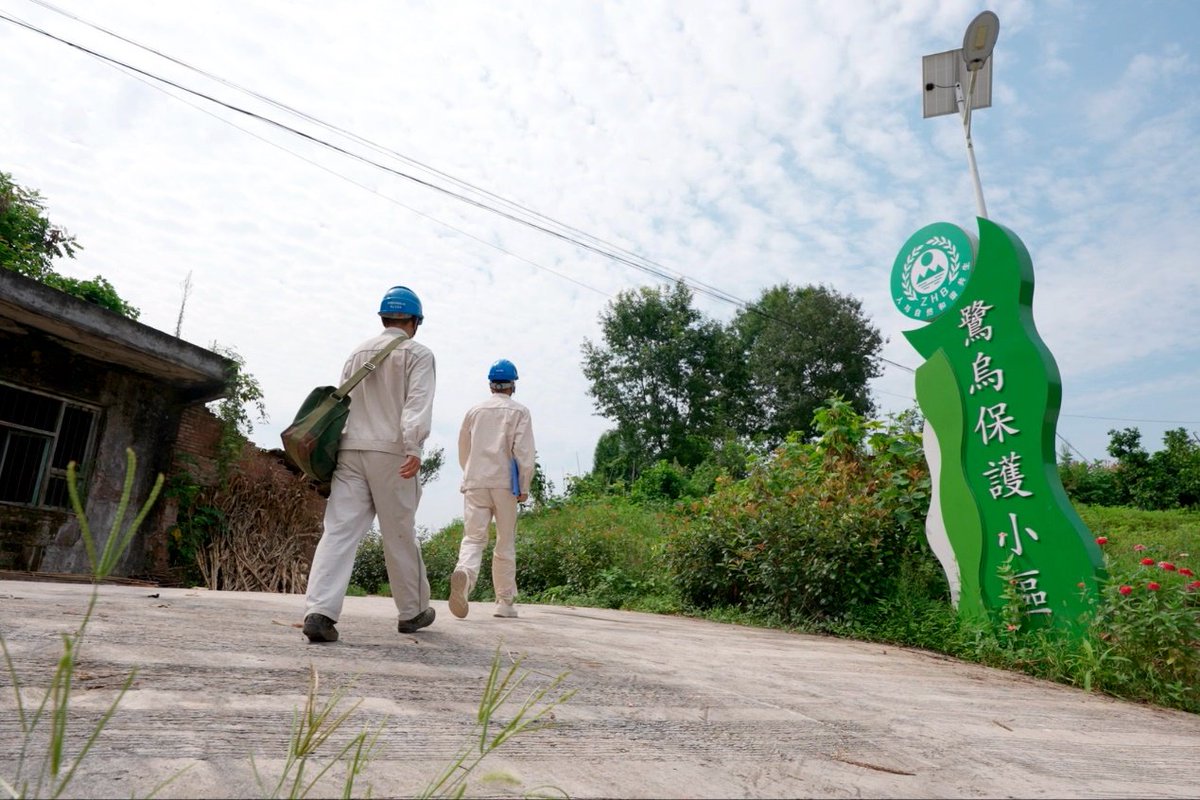 SGCCofficial's tweet photo. Yunlong township, Liangping district in southwest China's Chongqing Municipality is known as an international wetland city. #StateGrid Chongqing Electric Power Company has joined the local government’s ecological protection efforts and actively participated in local initiatives. https://t.co/ShTncJcdCf